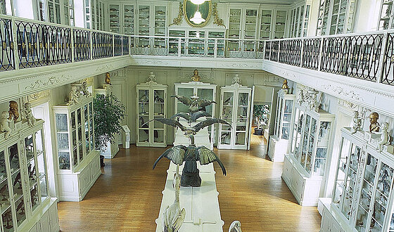 The "Vogelsaal" of the Museum of Natural Science is considered to be one of Europe's most beautiful early classicist halls of a museum