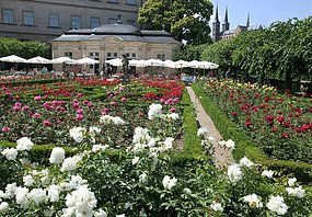 The rose garden of the New Residence fascinates particularly in summer and offers a splendid view over the city and to St. Michael.