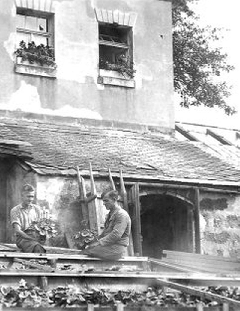 Foto vom Ausstellungsplakat "Rosen Primeln, Nelken"