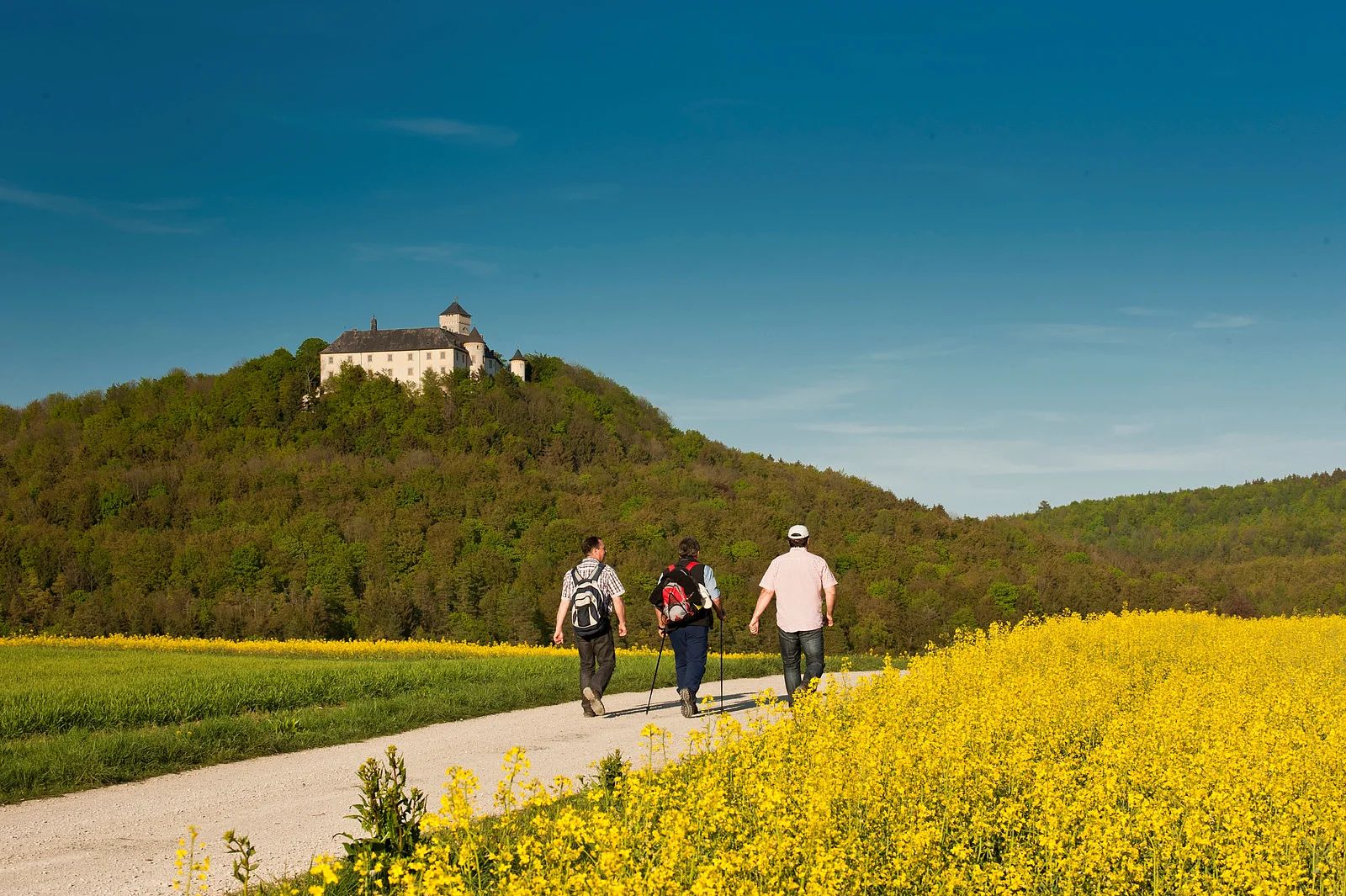 Reizvoll auf einem hohen Bergrücken des Fränkischen Jura erhebt sich die Burg SchlossGreifenstein, seit 300 Jahren fast unverändert im Besitz der Familie Stauffenberg.