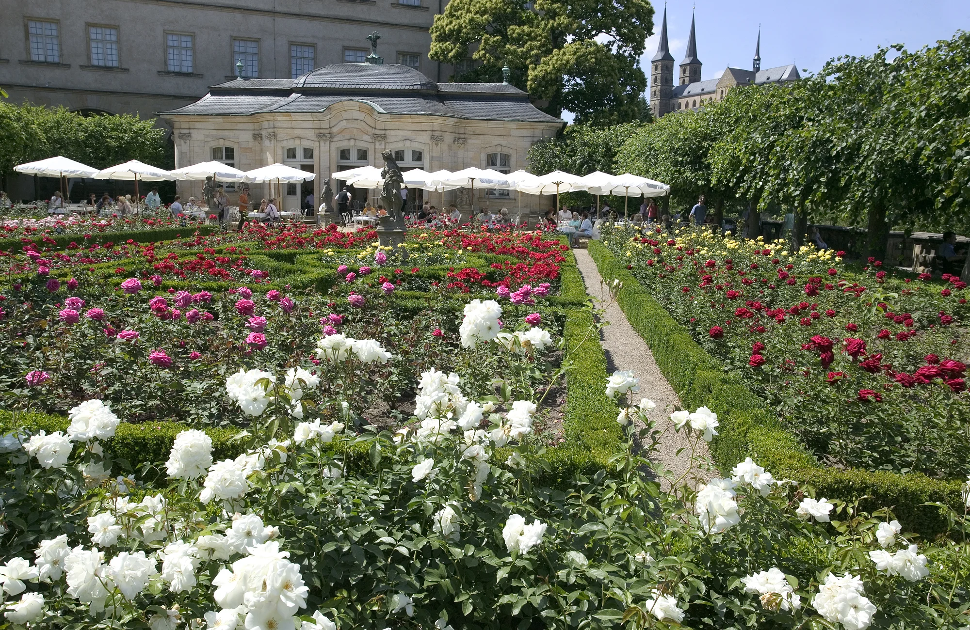 Rose Garden