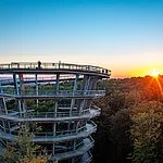 Der Baumwipfelpfad im Steigerwald ist ein beliebtes Ausflugsziel