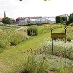 The nursery Mussärol, lies in the middle of Bamberg’s historical gardener’s district.