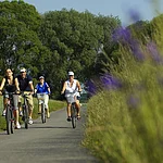 Castles, parks and the gorgeous surrounding area - at best they are discovered by bike