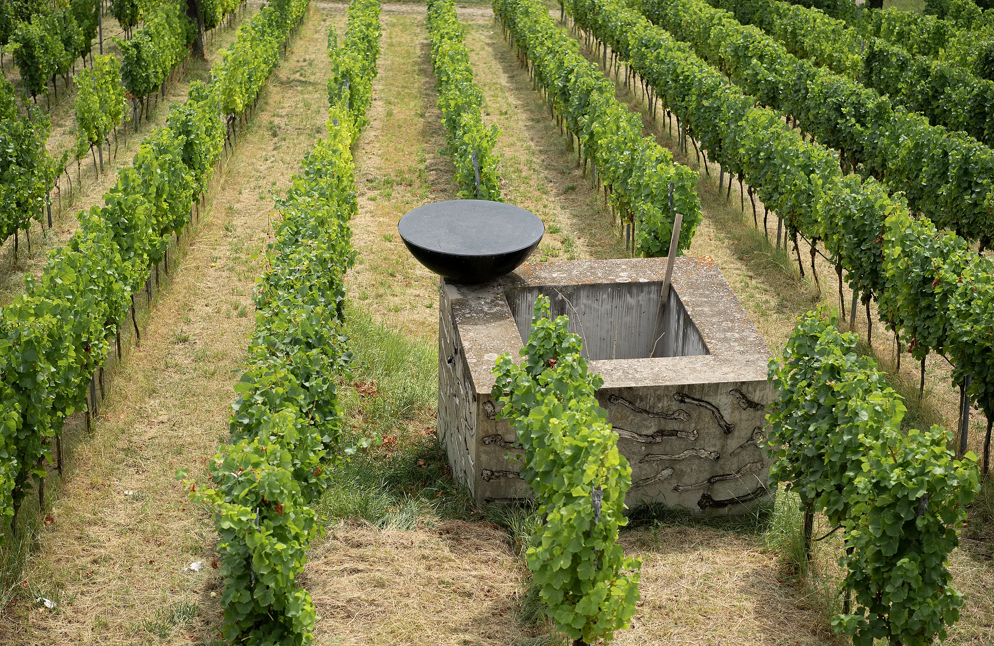 Am Kloster Michelsberg in Bamberg trifft Kunst auf Geschichte: Der japanische Künstler Kazuo Katase, der seit vielen Jahren in Deutschland lebt, schuf hier das beeindruckende Kunstwerk „Wandelung“, das die Veränderungen dieses besonderen Ortes thematisiert