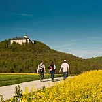 Reizvoll auf einem hohen Bergrücken des Fränkischen Jura erhebt sich die Burg Schloss Greifenstein, seit 300 Jahren fast unverändert im Besitz der Familie Stauffenberg.
