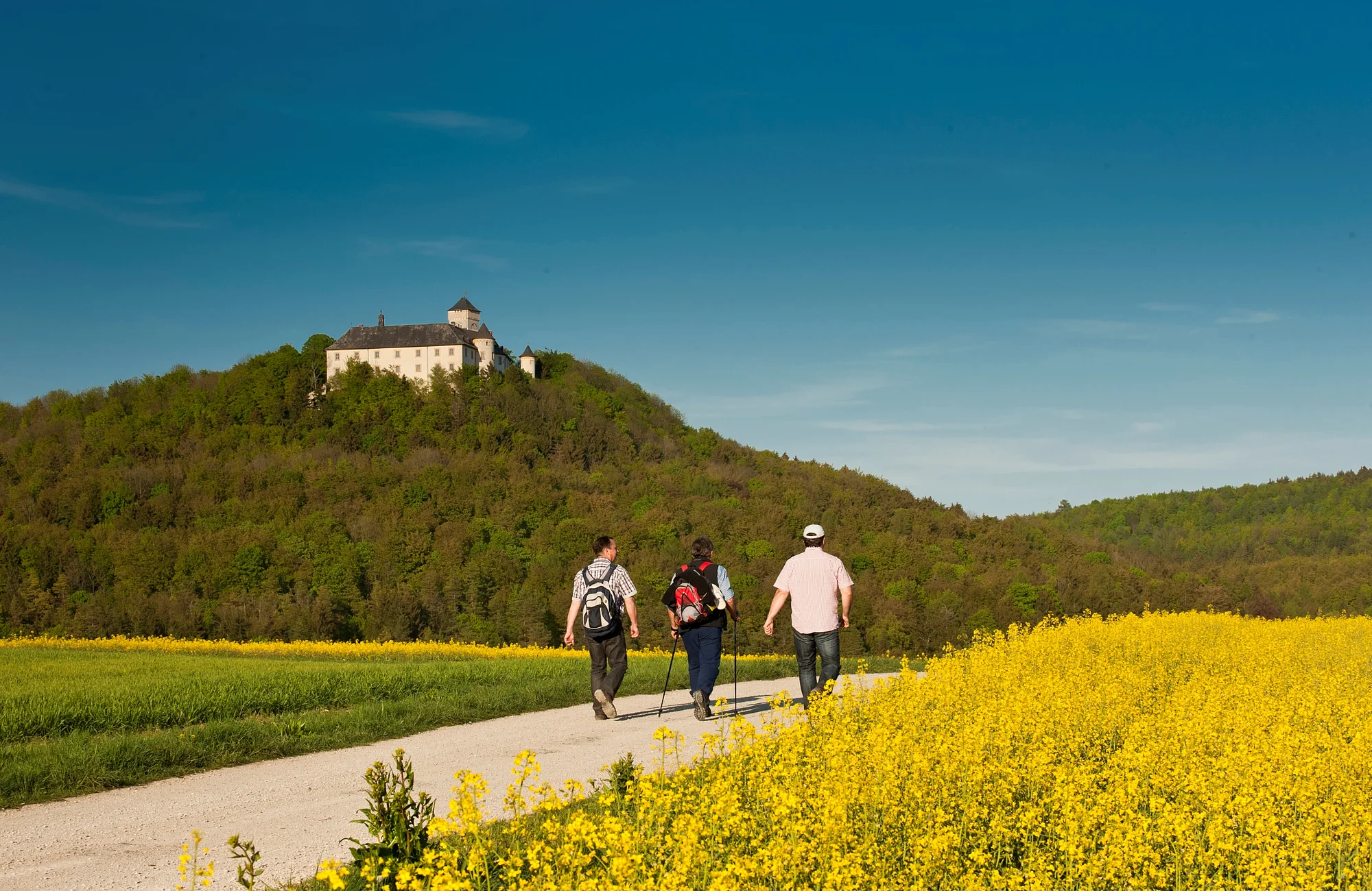 Greifenstein castle Reizvoll auf einem hohen Bergrücken des Fränkischen Jura erhebt sich die Burg Schloss Greifenstein, seit 300 Jahren fast unverändert im Besitz der Familie Stauffenberg.