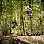The mountain bike trails in the Michaelsberg Forest