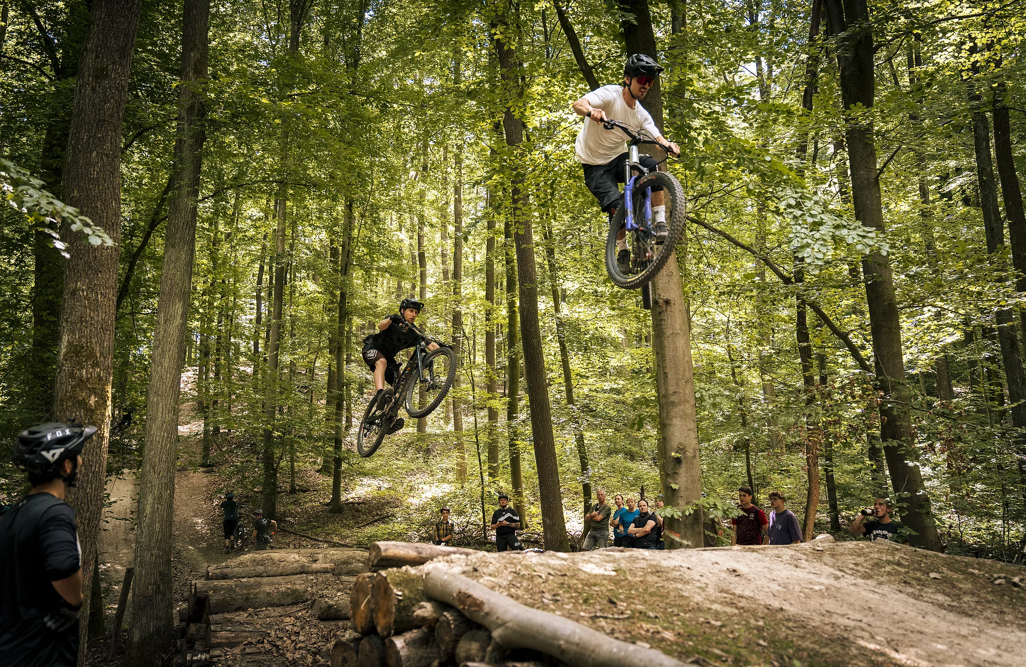 The mountain bike trails in the Michaelsberg Forest