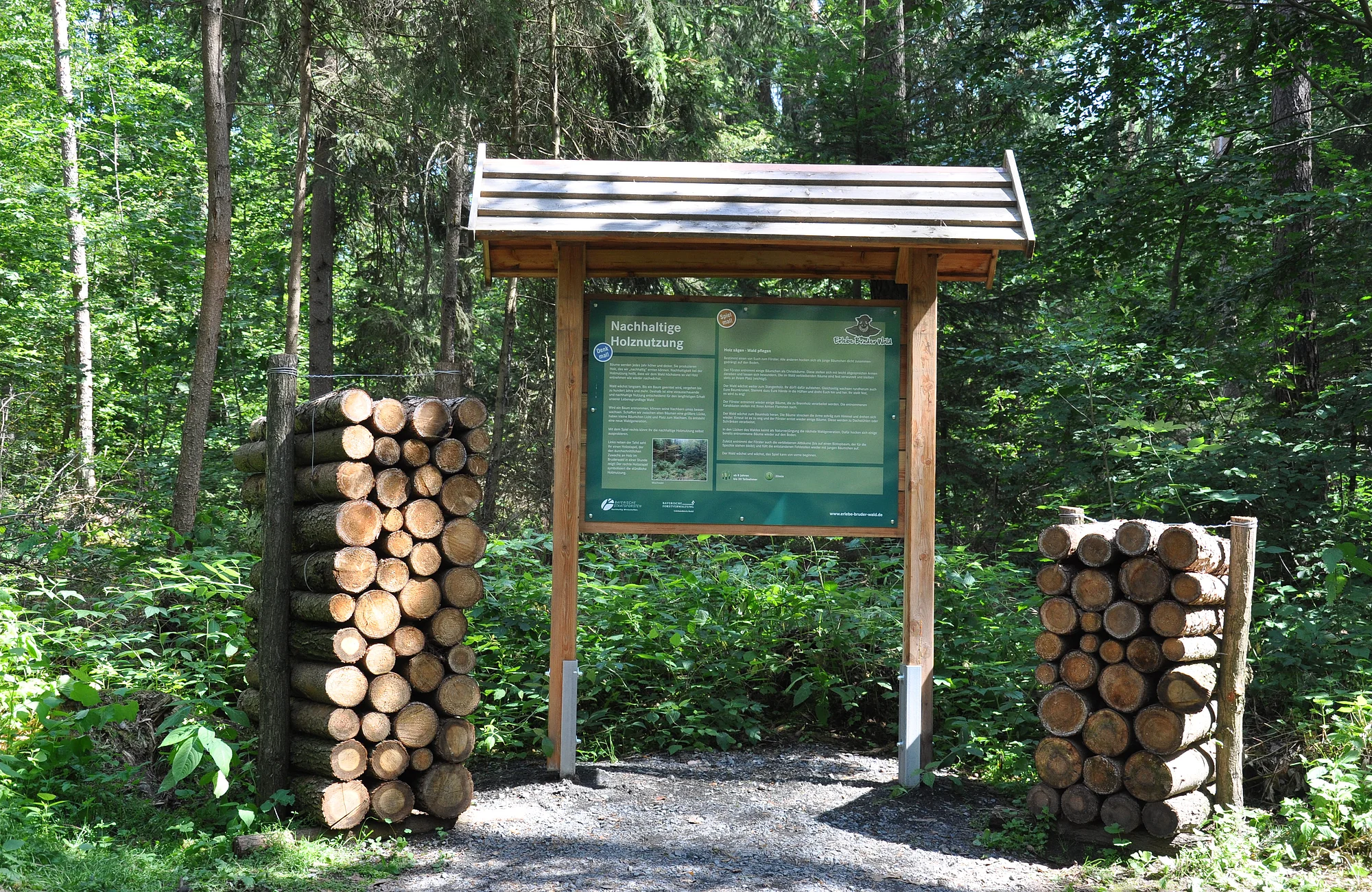 Station 3 Walderlebnispfad "Erlebe-Bruder-Wald" An zwanzig liebevoll gestalteten Stationen wird der Wald zum Klassenzimmer und Abenteuerspielplatz.