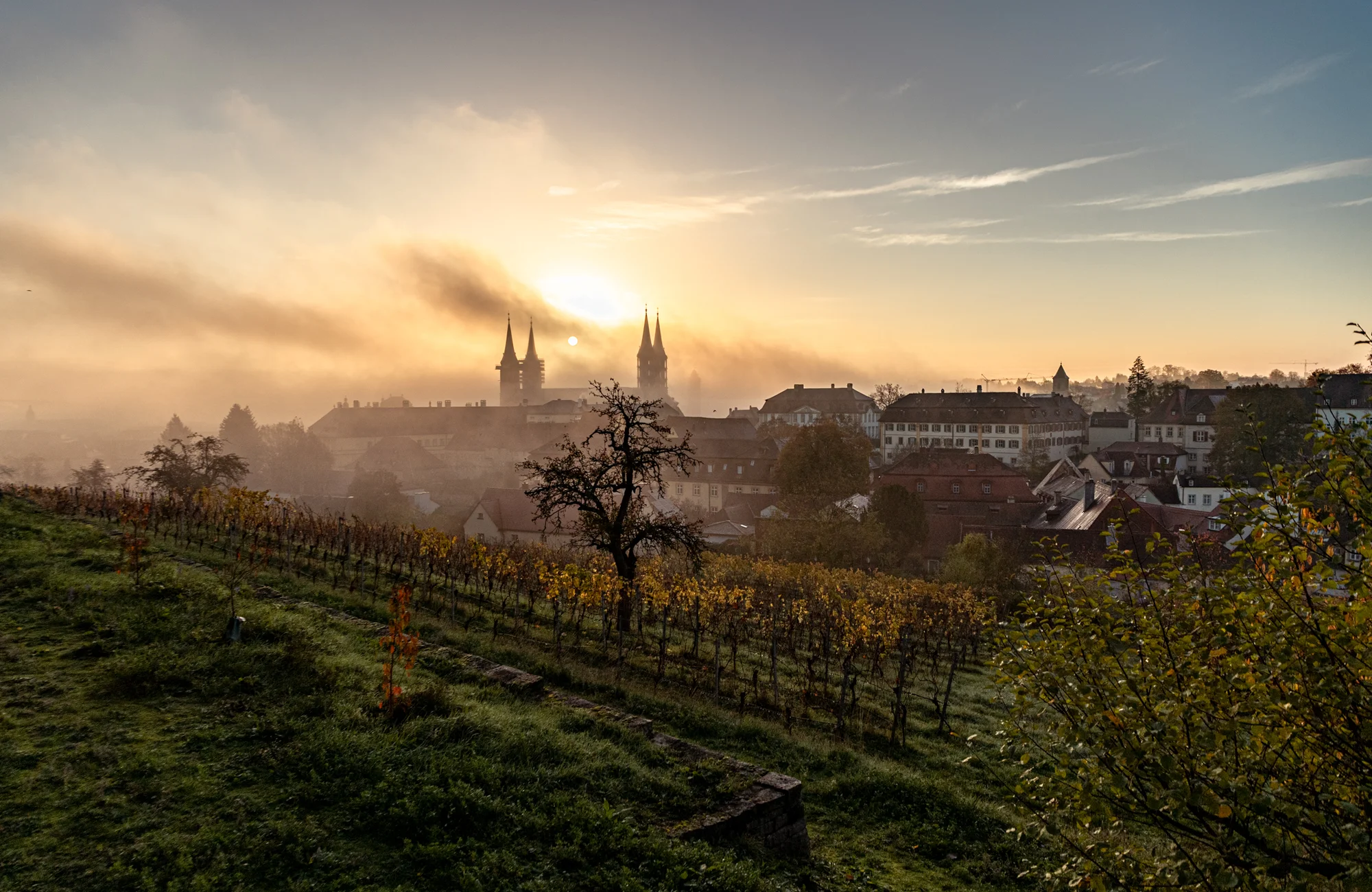 Die Sonne geht über dem Bamberger Dom auf mit dem Weinberg am Michaelsberg im Vordergrund.