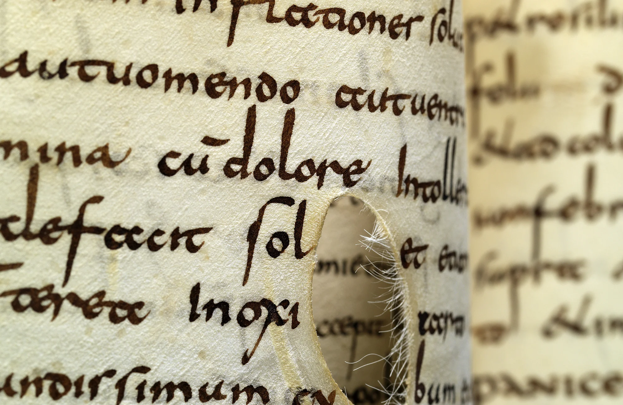 Lorscher Arzneibuch - Staatsbibliothek Bamberg Msc.Med.1, Lorsch, Anfang 9. Jh. Foto: Staatsbibliothek Bamberg / Gerald Raab Lorscher Arzneibuch - Staatsbibliothek Bamberg Msc.Med.1, Lorsch, Anfang 9. Jh. Foto: Staatsbibliothek Bamberg / Gerald Raab