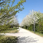 Ein Foto vom ERBA-Park, auf dem ehemaligen Gelände der Landesgartenschau 2012.