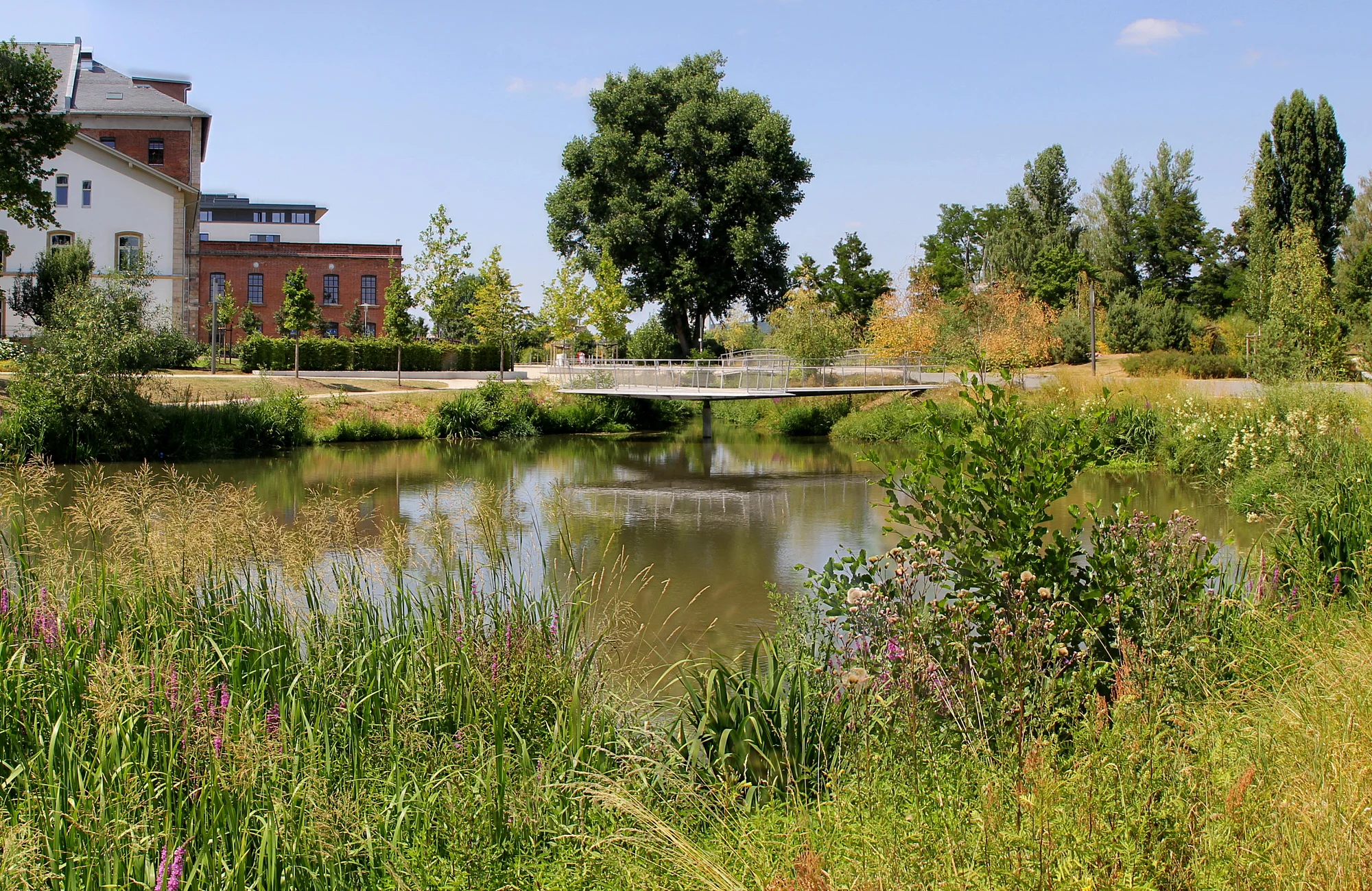 Grünes Gewächs und Gewässer im ERBA-Park, auf dem ehemaligen Gelände der Landesgartenschau 2012.