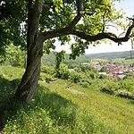 Blick vom Ebracher Panoramaweg ins mittlere Ebrach.