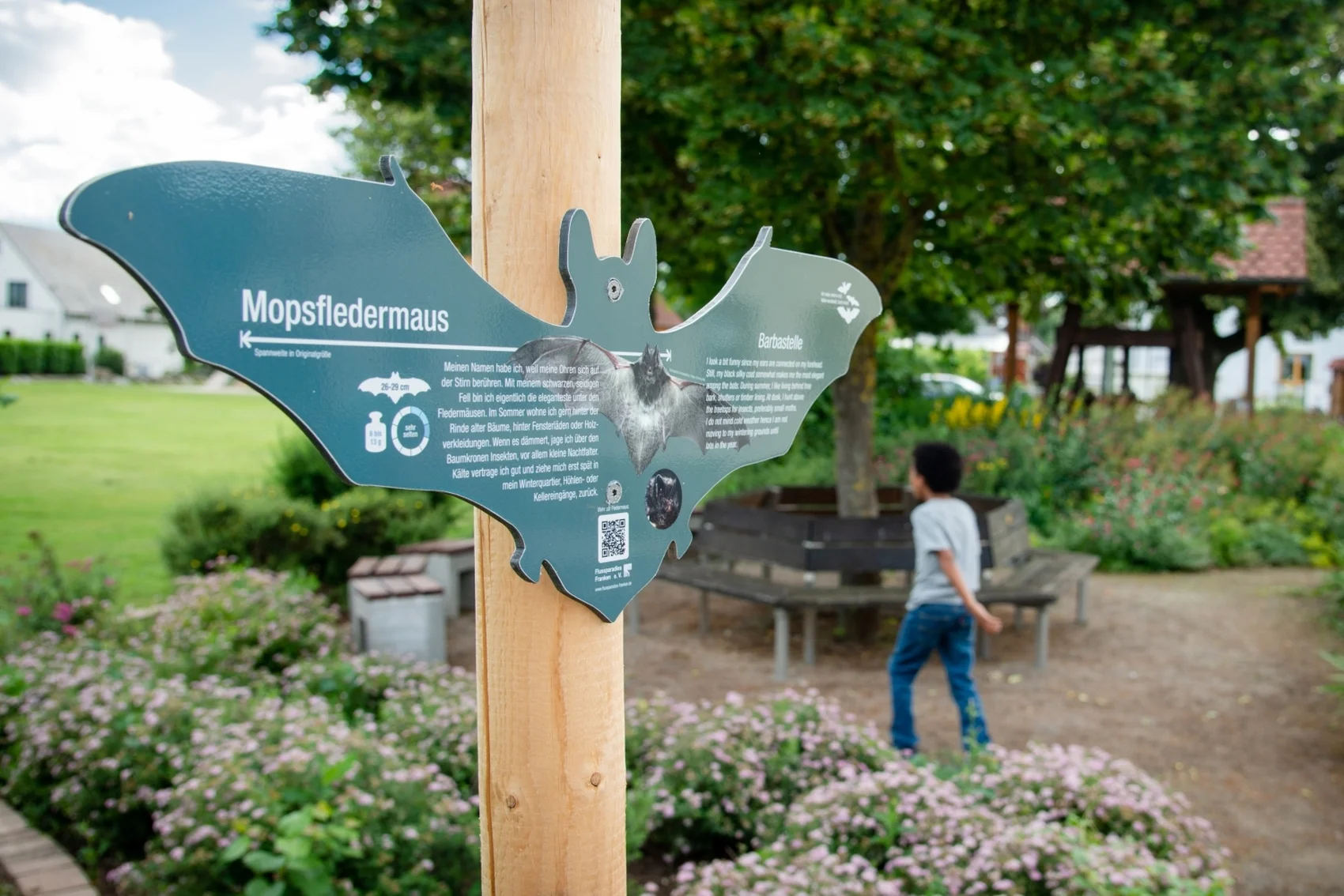 Fledermausweg Foto eines fledermausförmigen Info-Schildes auf dem Fledermausweg zwischen Viereth und Unterhaidt.