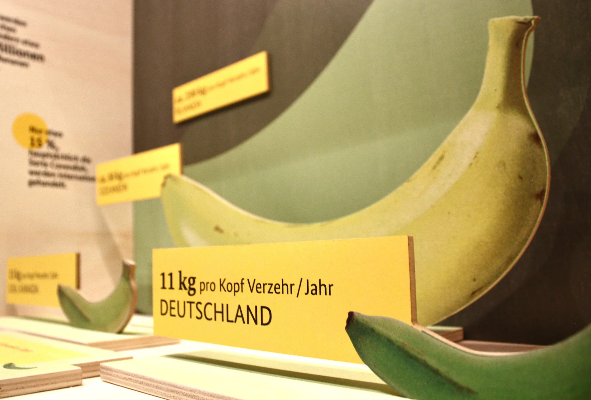 Ausstellung BanaaRama Naturkundemuseum Die Banane ist das Objekt um das sich in der Sonderaustellung "BananaRama" im Naturkundemuseum in Bamberg ab 31. März 2026 alles dreht.