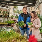 Zwei Personen kaufen Blumen in der Gärtnerstadt in Bamberg.