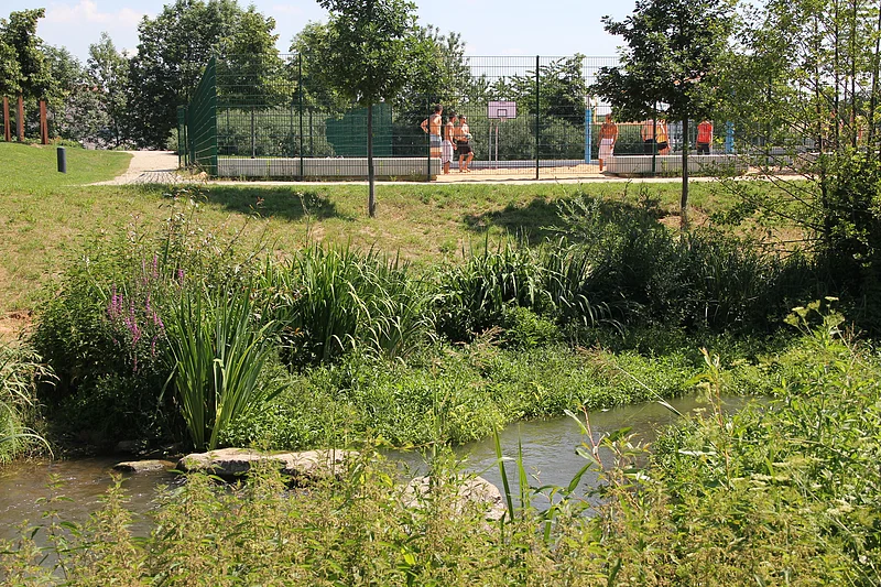 Grünes Gewächs und Gewässer im ERBA-Park, auf dem ehemaligen Gelände der Landesgartenschau 2012.