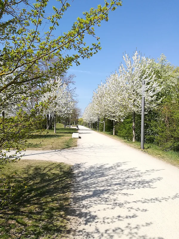 Ein Foto vom ERBA-Park, auf dem ehemaligen Gelände der Landesgartenschau 2012.
