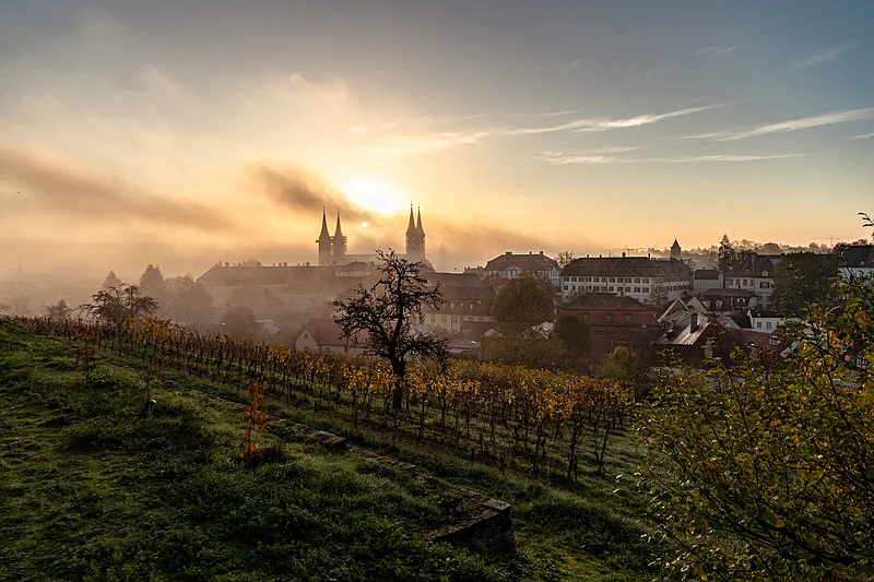 Die Sonne geht über dem Bamberger Dom auf mit dem Weinberg am Michaelsberg im Vordergrund.