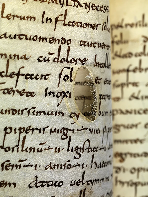 Lorscher Arzneibuch - Staatsbibliothek Bamberg Msc.Med.1, Lorsch, Anfang 9. Jh. Foto: Staatsbibliothek Bamberg / Gerald Raab