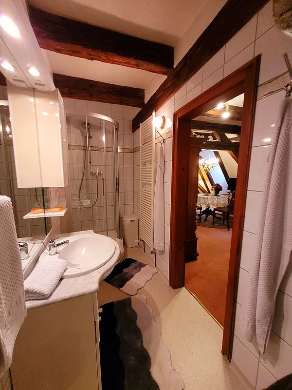 Exclusiv-Appartements Hofmann Appartement 1