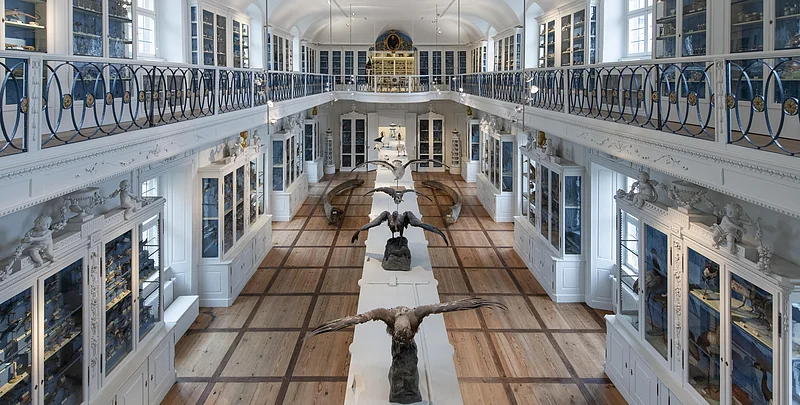 Der Vogelsaal im Naturkundemuseum Bamberg Der Vogelsaal im Naturkundemuseum Bamberg