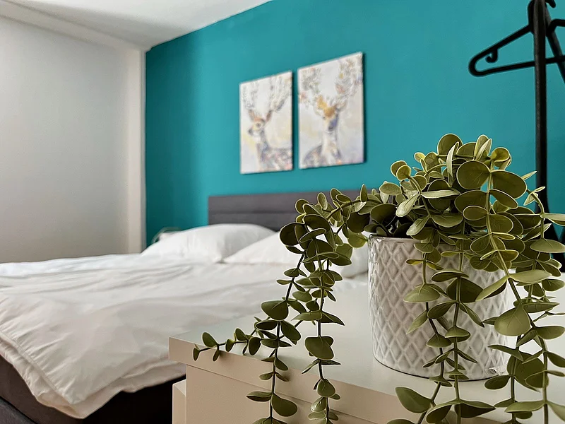 Schlafzimmer Ferienwohnung Bamberg Modernes Schlafzimmer der Ferienwohnung in Bamberg mit komfortablem Doppelbett und heller Atmosphäre. Geeignet für Gruppen und Familien mit bis zu 6 Personen.