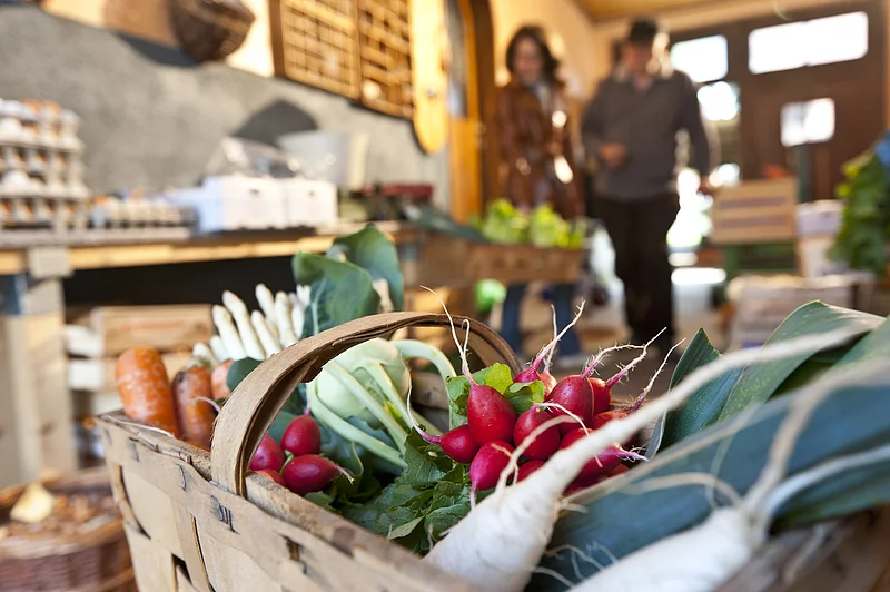 Gardeners influenced the cityshape of Bamberg decisevely for centuries. The gardener's district is an important of the World Cultural Heritage Site this very day and still vivid.  Enjoy what Bamberg's gardens give away.