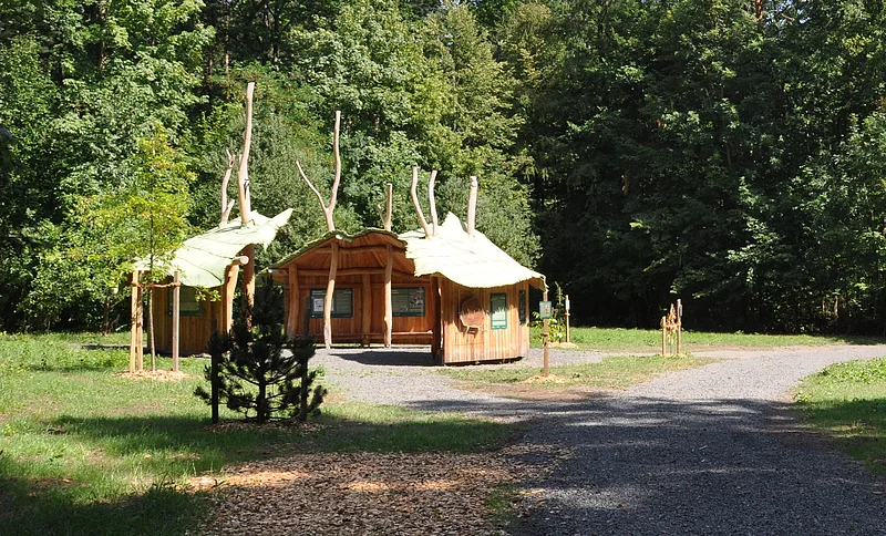 Pavillon Walderlebnispfad "Erlebe-Bruder-Wald" Ein Pavillon im Bruderwald lädt zu Pausen ein und hält interessante Infos zum Wald bereit.