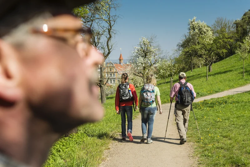 Wanderung auf den Michaelsberg Wanderung auf den Michaelsberg.