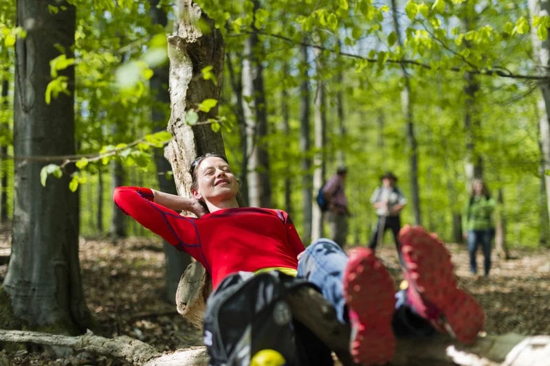 Rast im Michaelsberger Wald Bamberg Wanderer machen Rast bei ihrer Wanderung im Michaelsberger Wald.