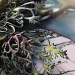 "Conscious Garden - Heckenraunen"