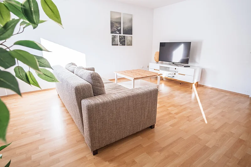 Wohnzimmer Ferienwohnung Bamberg für 6 Personen