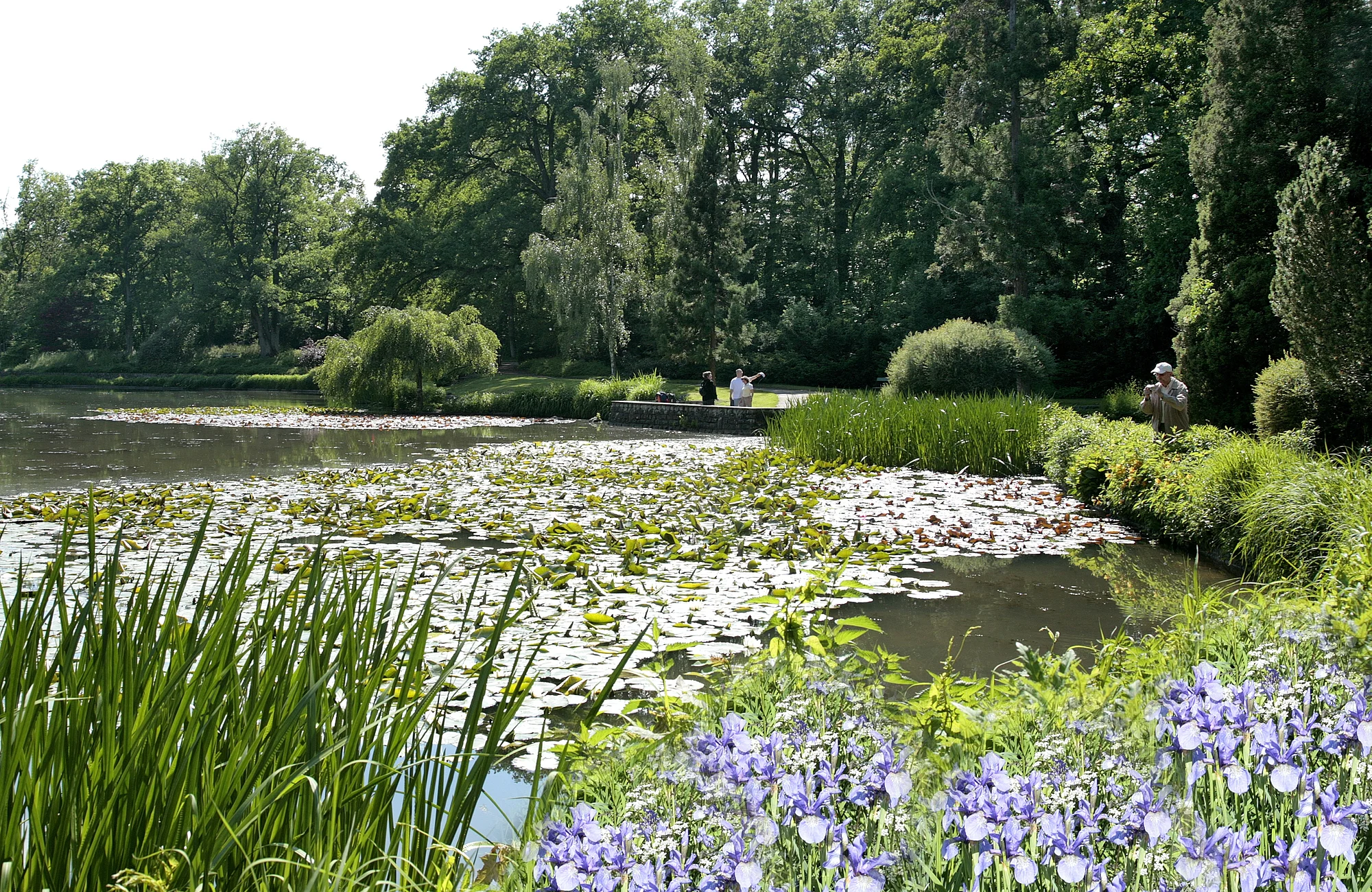 The municipal park including Theresien- and Luisenhain (groove) as well as a botanic garden has many promenades. From the former Mühlenviertel or along the Old Chanel and the River Regnitz you can get to this local recreational area on romantic paths within a few minutes