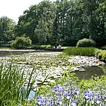 The municipal park including Theresien- and Luisenhain (groove) as well as a botanic garden has many promenades. From the former Mühlenviertel or along the Old Chanel and the River Regnitz you can get to this local recreational area on romantic paths within a few minutes