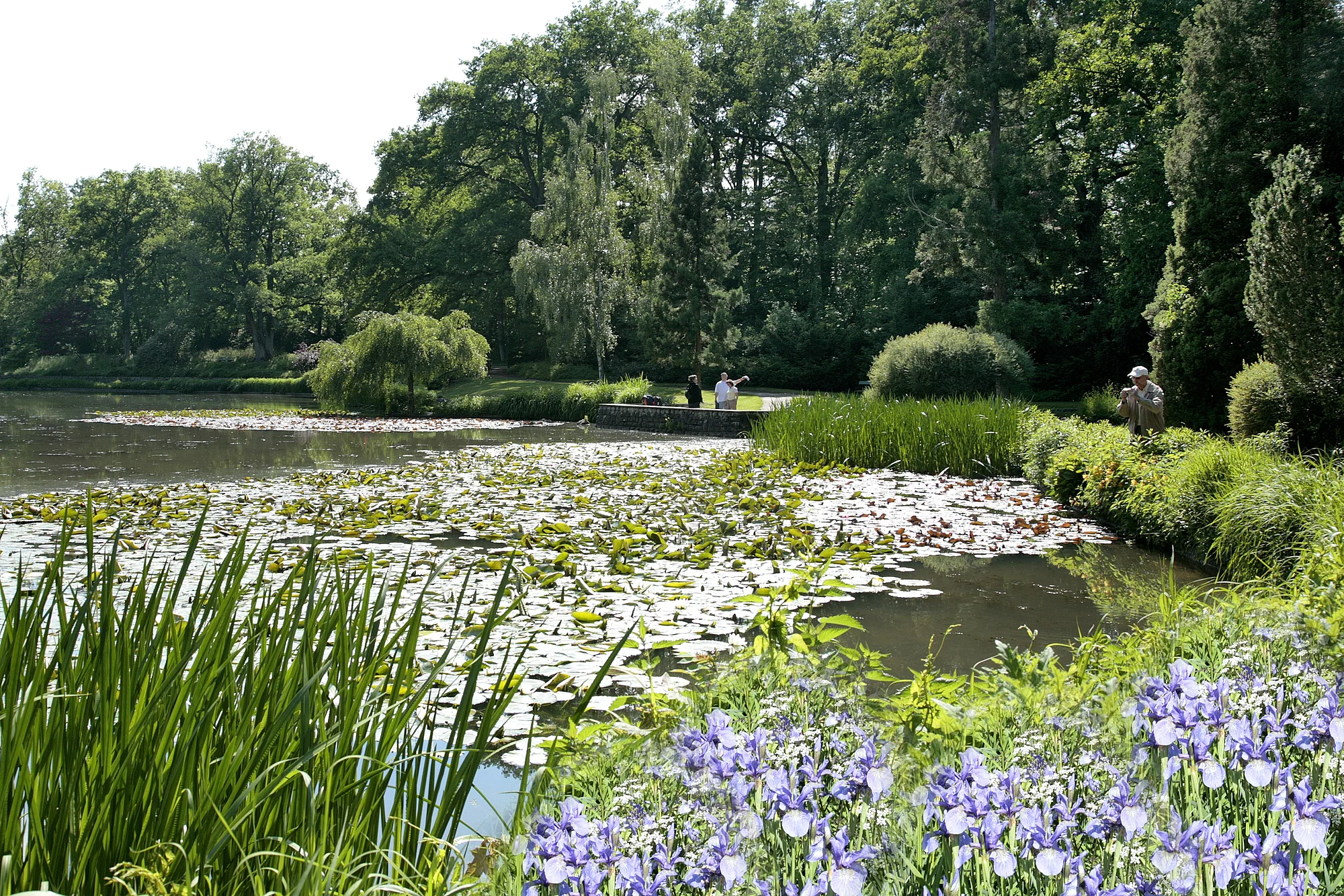 The municipal park including Theresien- and Luisenhain (groove) as well as a botanic garden has many promenades. From the former Mühlenviertel or along the Old Chanel and the River Regnitz you can get to this local recreational area on romantic paths within a few minutes