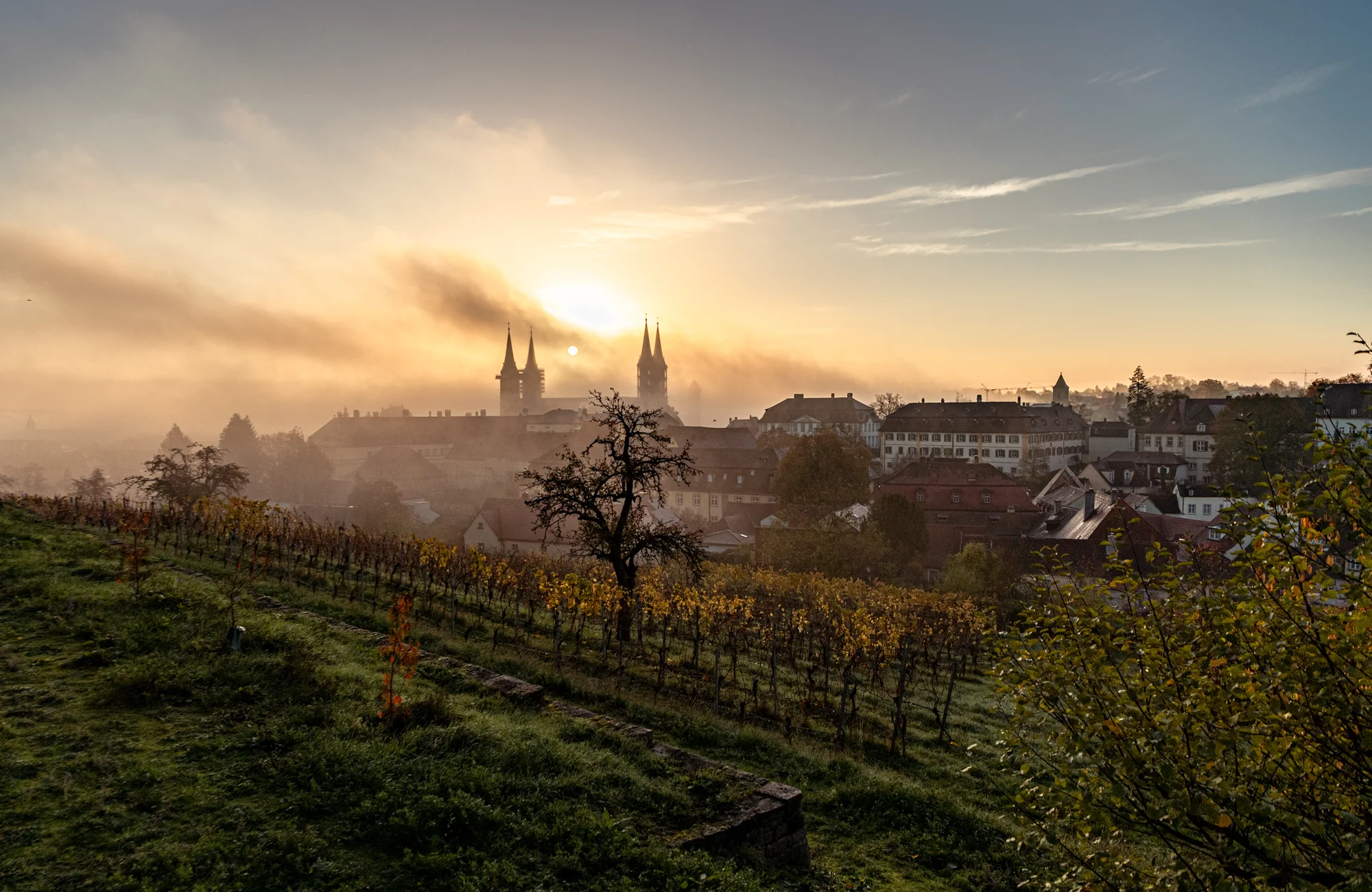 Weinberg am Michaelsberg Die Sonne geht über dem Bamberger Dom auf mit dem Weinberg am Michaelsberg im Vordergrund.