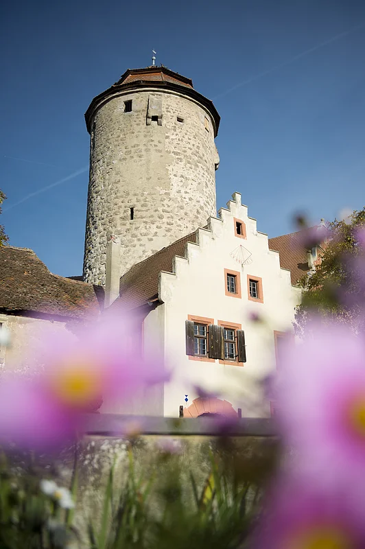 Burg Lisberg Die Burg Lisberg ist weithin sichtbar