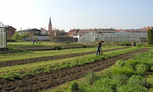 Gardeners' district of Bamberg