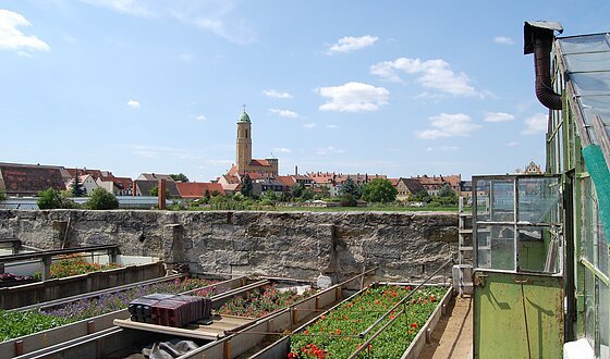 World Cultural Heritage Site - The lower gardeners' district