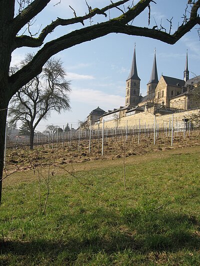 Monastery gardens of St. Michael’s with the vineyard